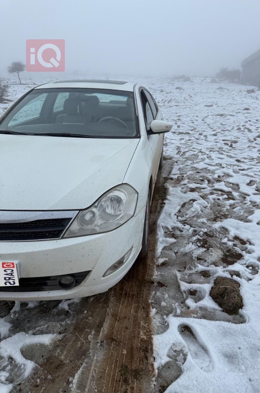 رينو سافران